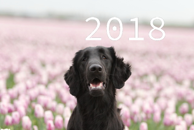 Pictures 2018