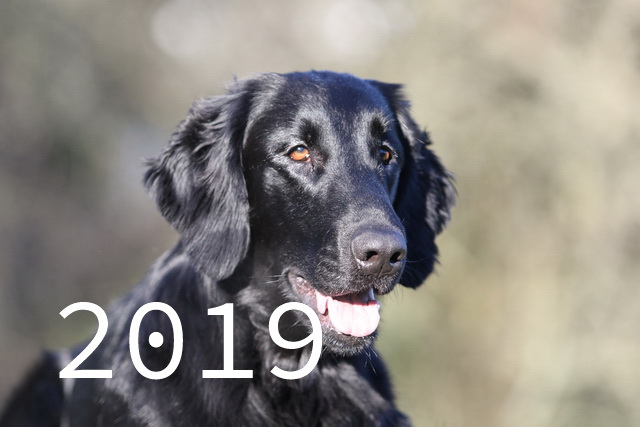 Pictures 2019